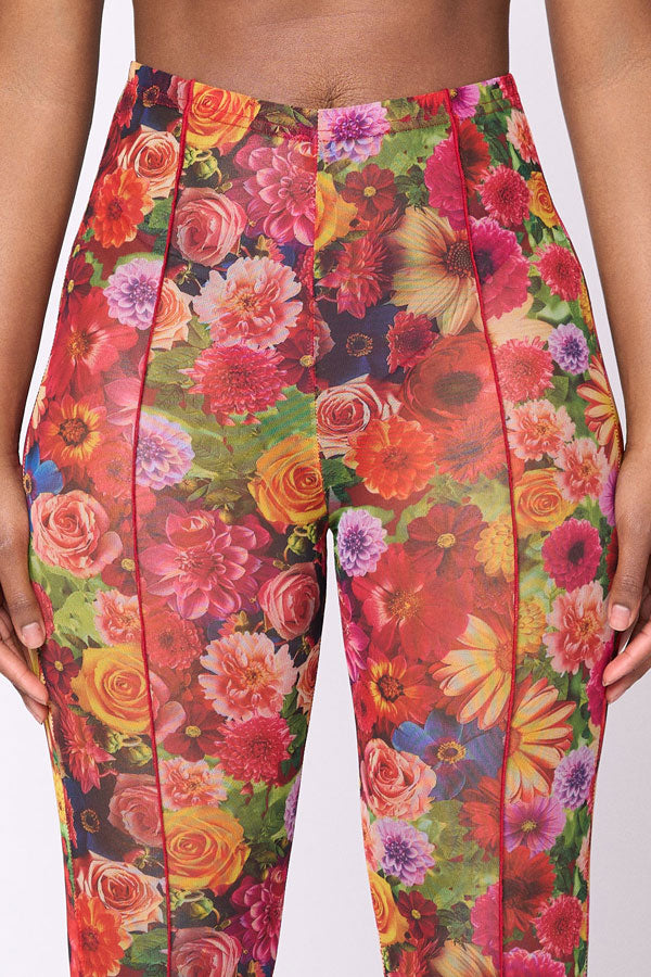 Cassie Legging Mesh Tight